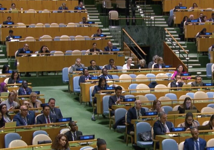 Voting in the UN General Assembly (Screenshot)